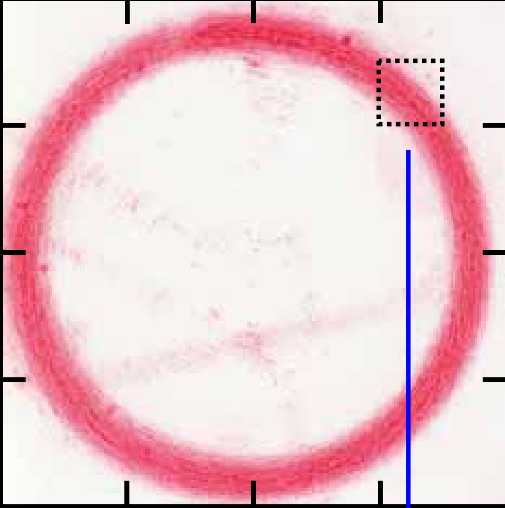 Rotating overview — original test image